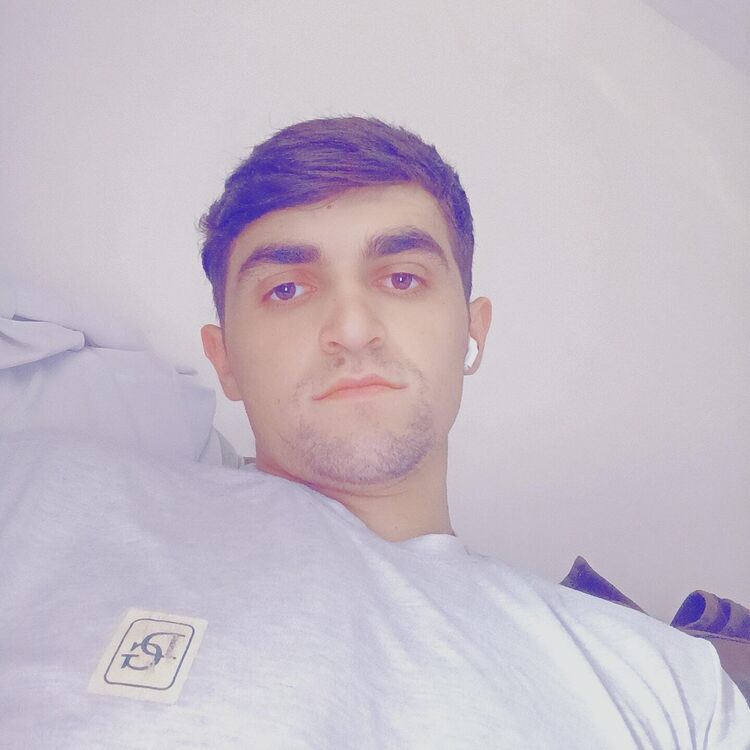  29736313  , 25 ,    -