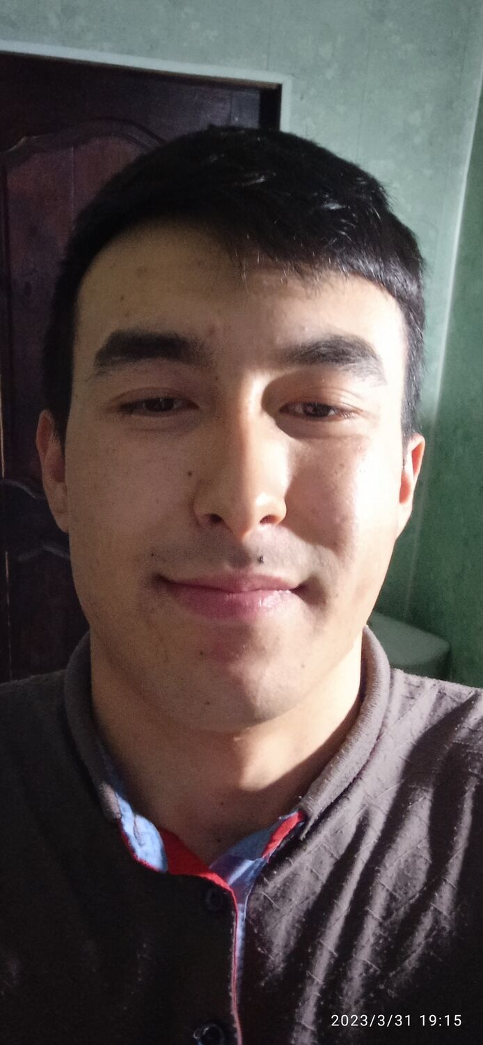  33537823  , 23 ,    