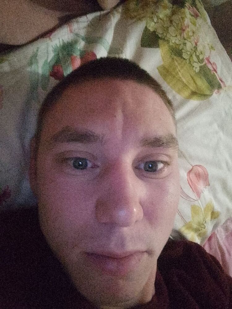  40132903  , 41 ,    