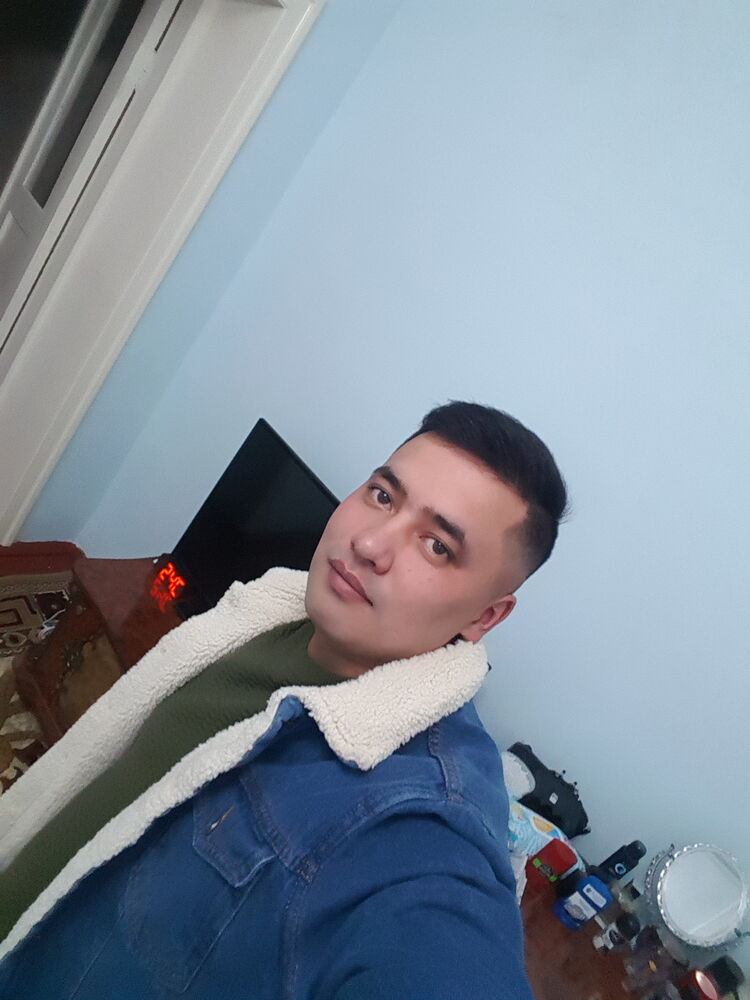  24650683  , 31 ,    