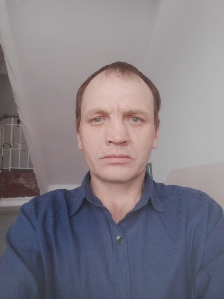  34172633  , 44 ,    