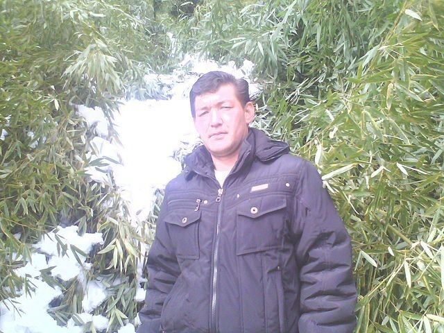  ,   , 46 ,   ,   , 