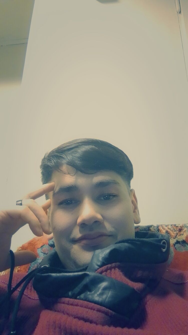  48630253  , 29 ,    -