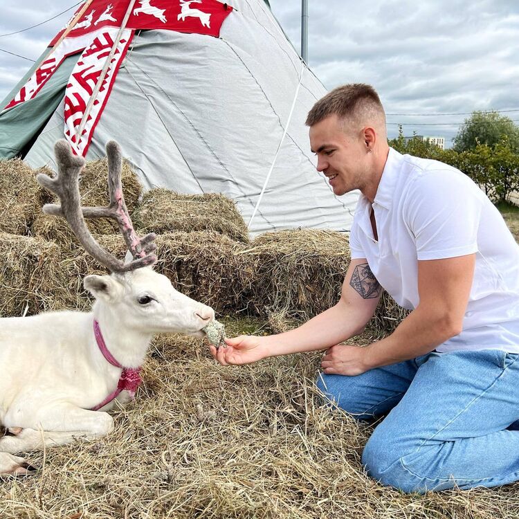 ���������� �����-���������, ���� ������� �������, 34 ����, ������������ ��� ����� � ���������, c�������� ���������, ���������