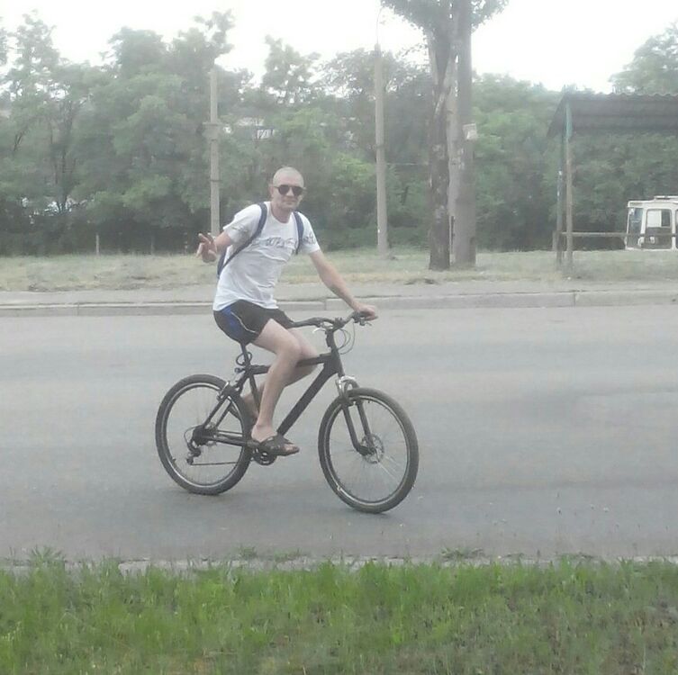  16439893  , 43 ,    