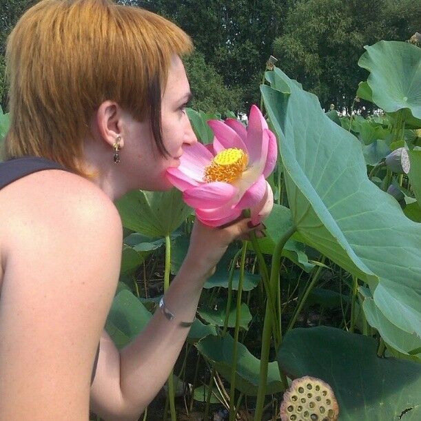 ���������� ���������, ���� ������� ���, 40 ���, ������������ ��� ������, ����� � ���������, c�������� ���������