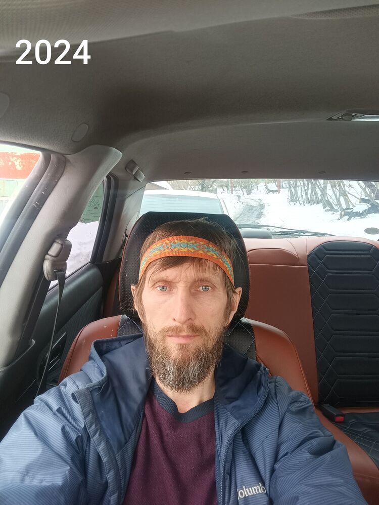  53956243  , 50 ,    -