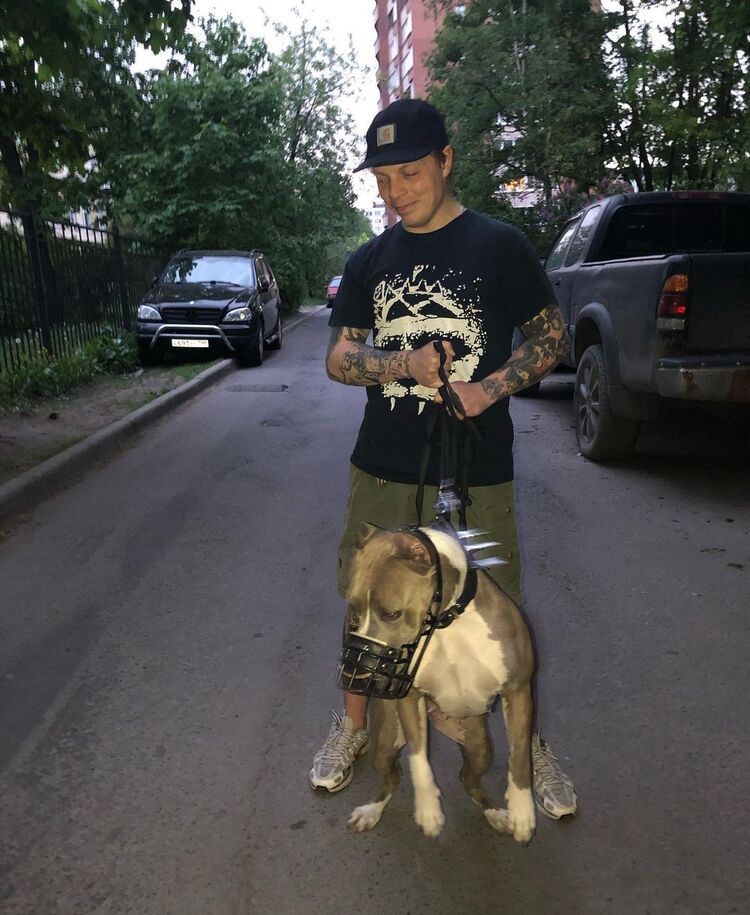 ���� 40071733 ������� ������, 33 ����, ���� ���������� � �����-����������