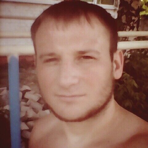  8444483  , 37 ,    -