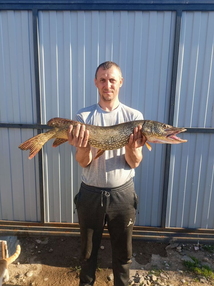 ���������� ���������, ���� ������� ������, 39 ���, ������������ ��� ������, ����� � ���������, c�������� ���������