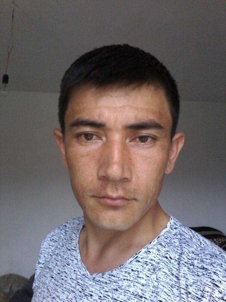  7656223  , 36 ,    