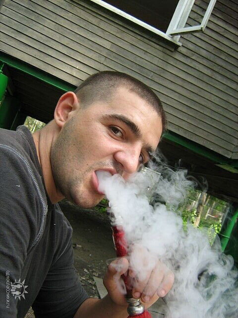  ,   Gelu, 39 ,   ,   