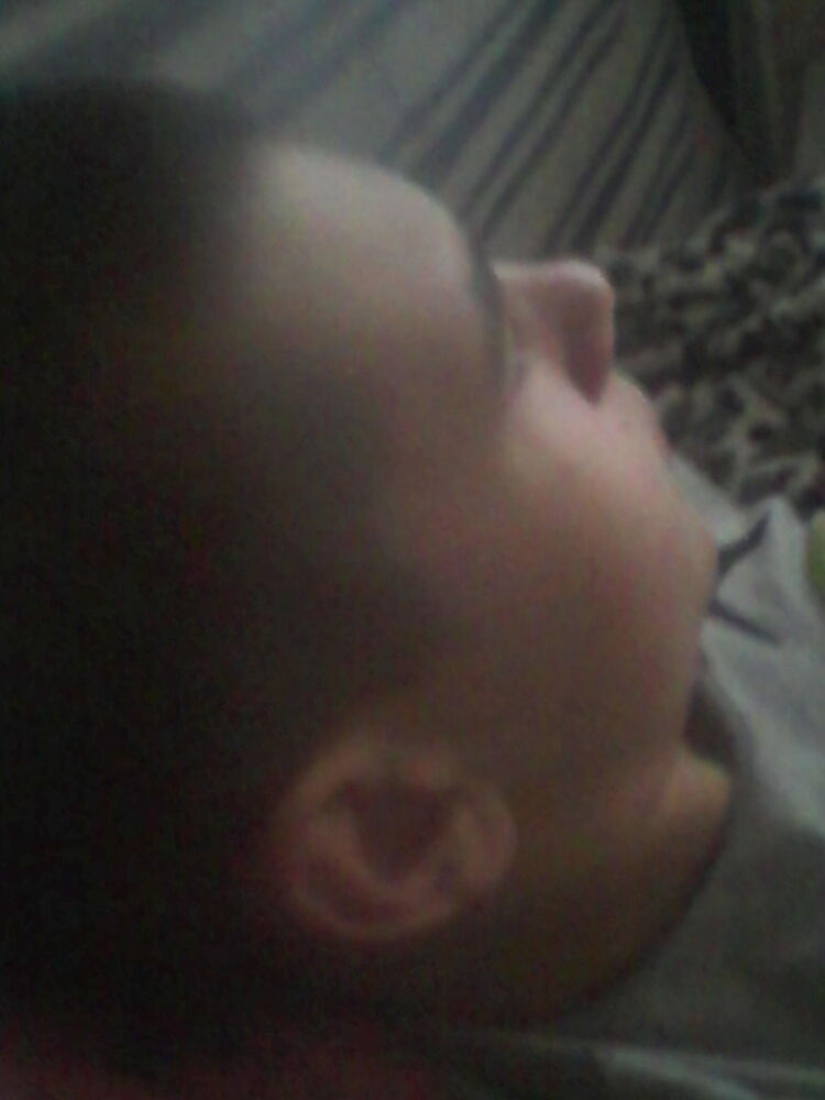 ���������� �����, ���� ������� �������, 29 ���, ������������ ��� ������