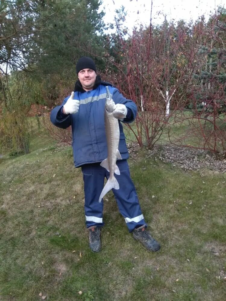 ���������� ������, ���� ������� �������, 33 ����, ������������ ��� ������, ����� � ���������