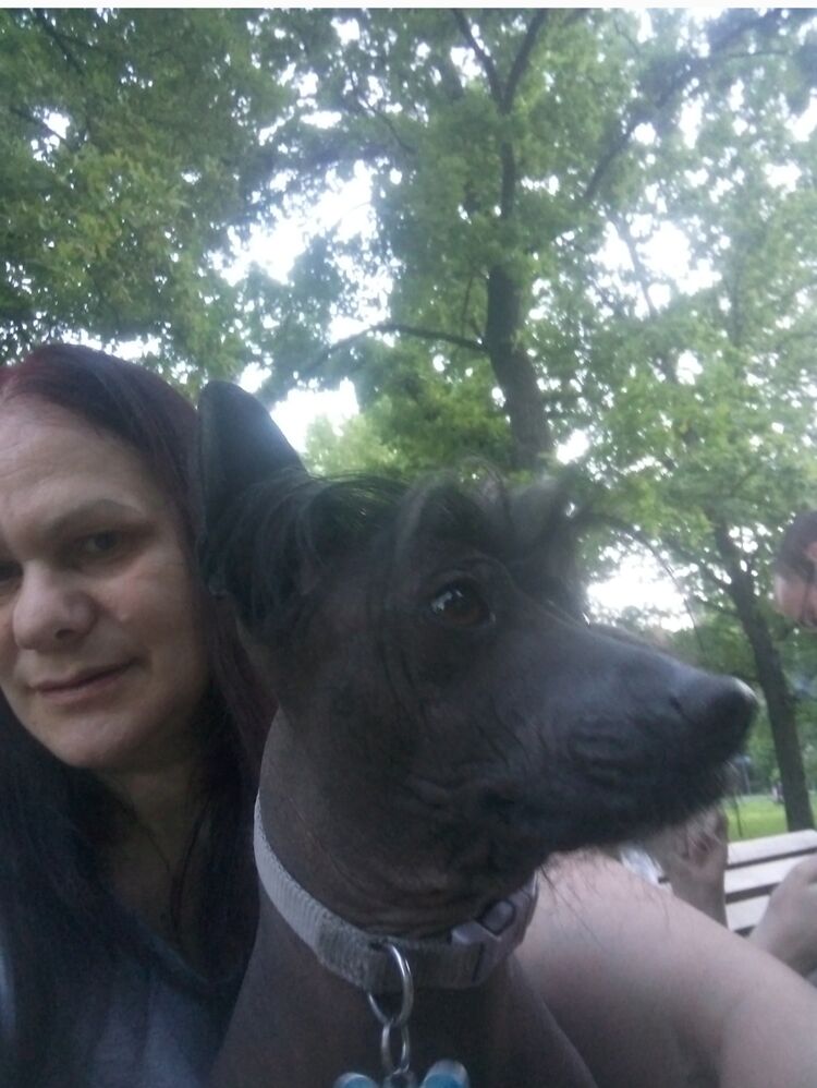  ,   , 61 ,   