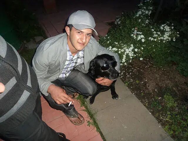 ���� 26552383 ������� Armen, 38 ���, ���� ���������� � �������������