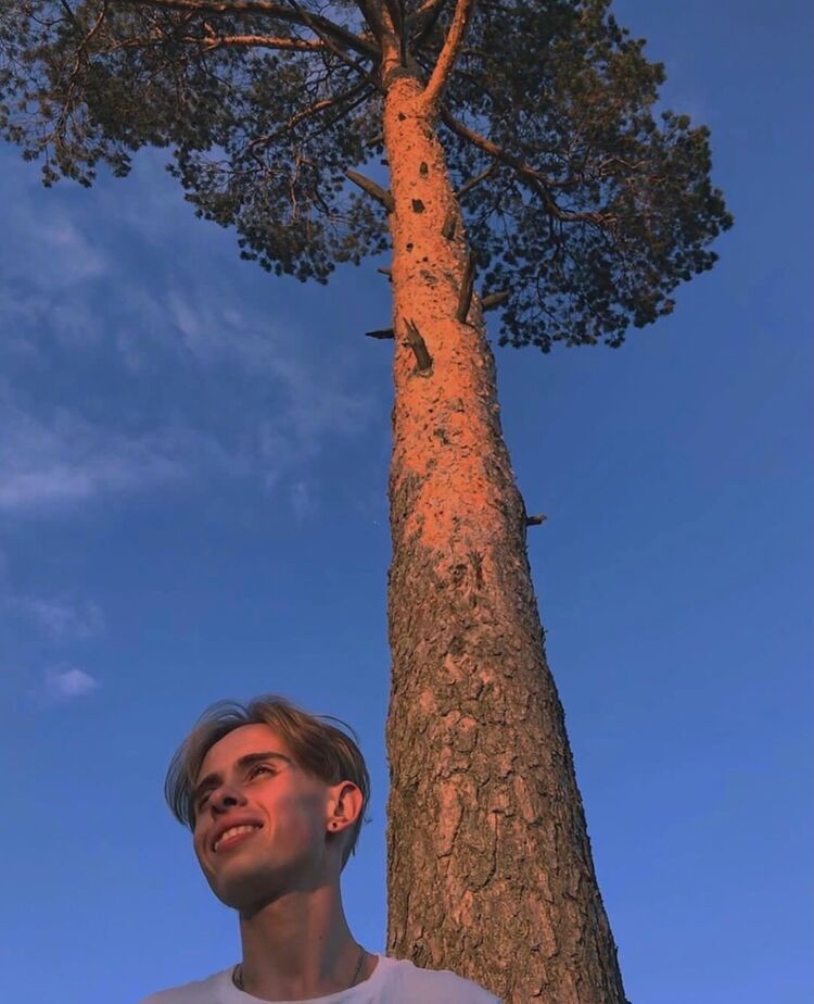 ���������� ������, ���� ����� �������, 24 ����, ������������ ��� ������, ����� � ���������