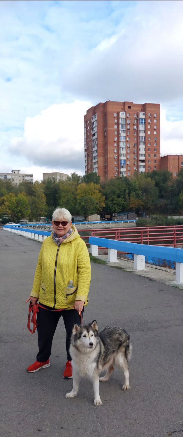  54771933  , 61 ,    --