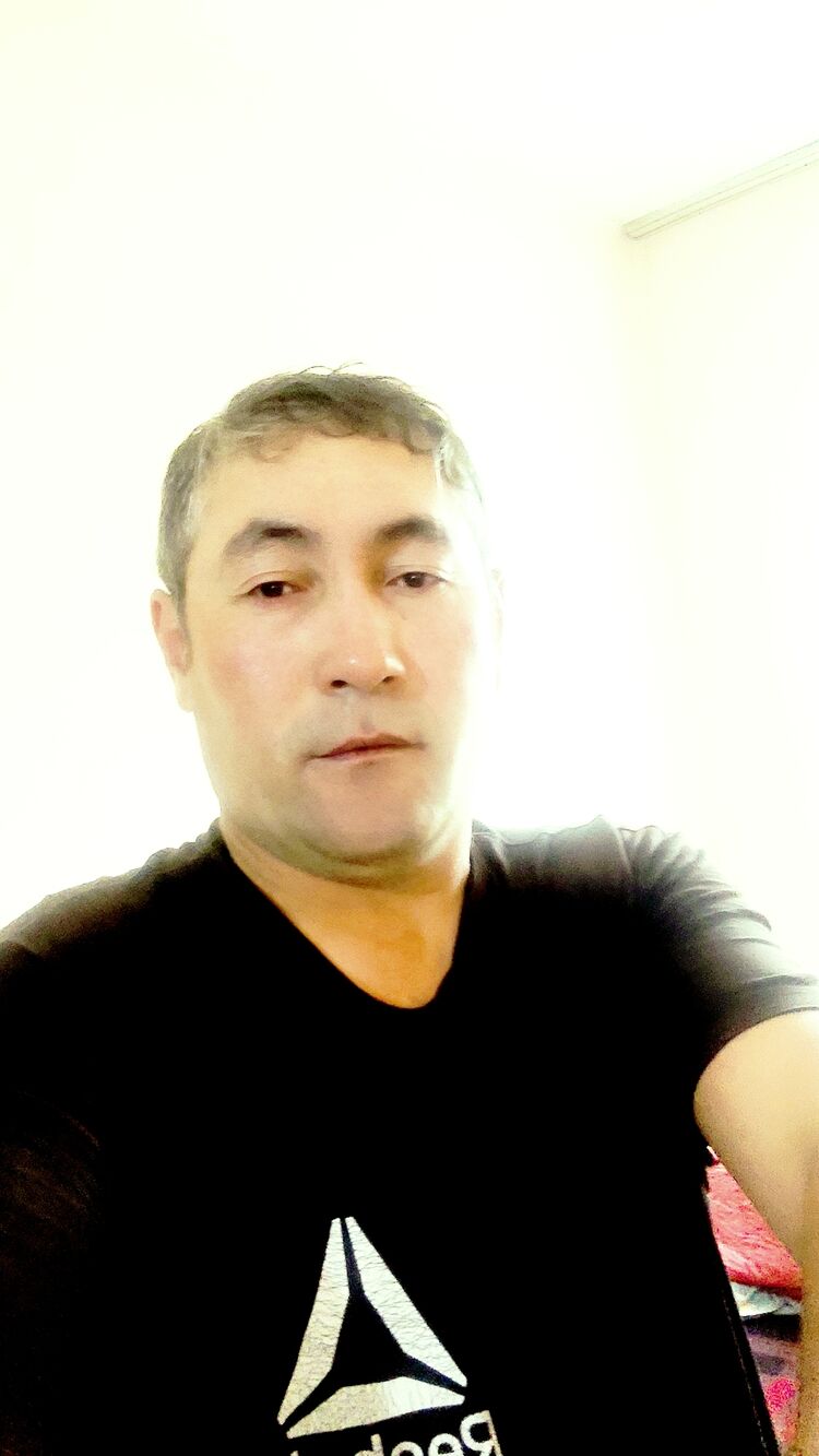  47184833  , 41 ,    
