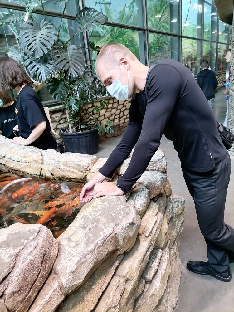 ���������� ����, ���� ������� �����, 38 ���, ������������ ��� ������, ����� � ���������, c�������� ���������