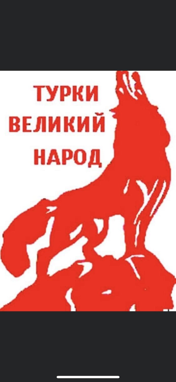 ���������� ����, ���� ������� �����, 43 ����, ������������ ��� ������, ����� � ���������, c�������� ���������