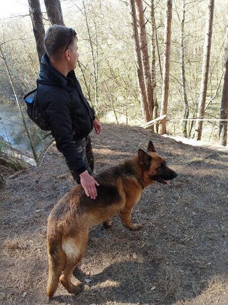 ���� 56016213 ������� ������, 42 ����, ���� ���������� � ���������� ������