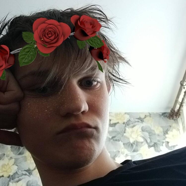 ���� 26530713 ����� �����, 24 ����, ���� ���������� � �����-����������