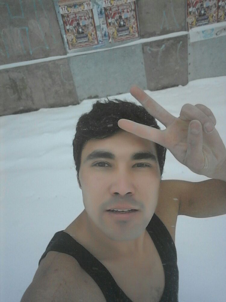  52952843  , 33 ,    