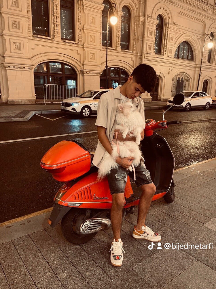  Algiers,   , 22 ,   ,   