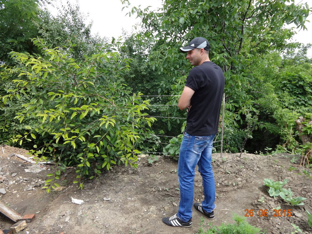 ���������� ������, ���� ������� ������, 42 ����, ������������ ��� ������, ����� � ���������, c�������� ���������