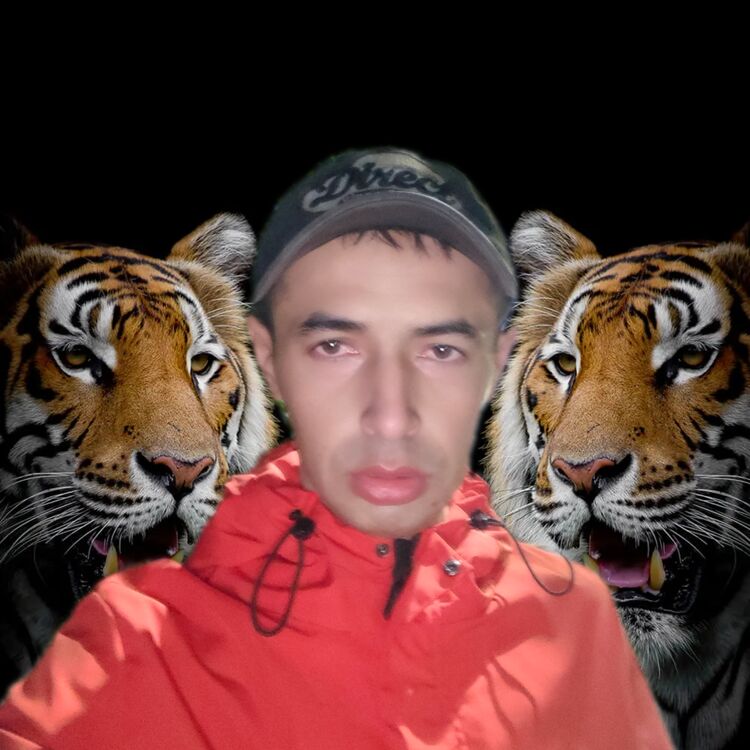 ���� 40797513 ������� �����, 28 ���, ���� ���������� � �����