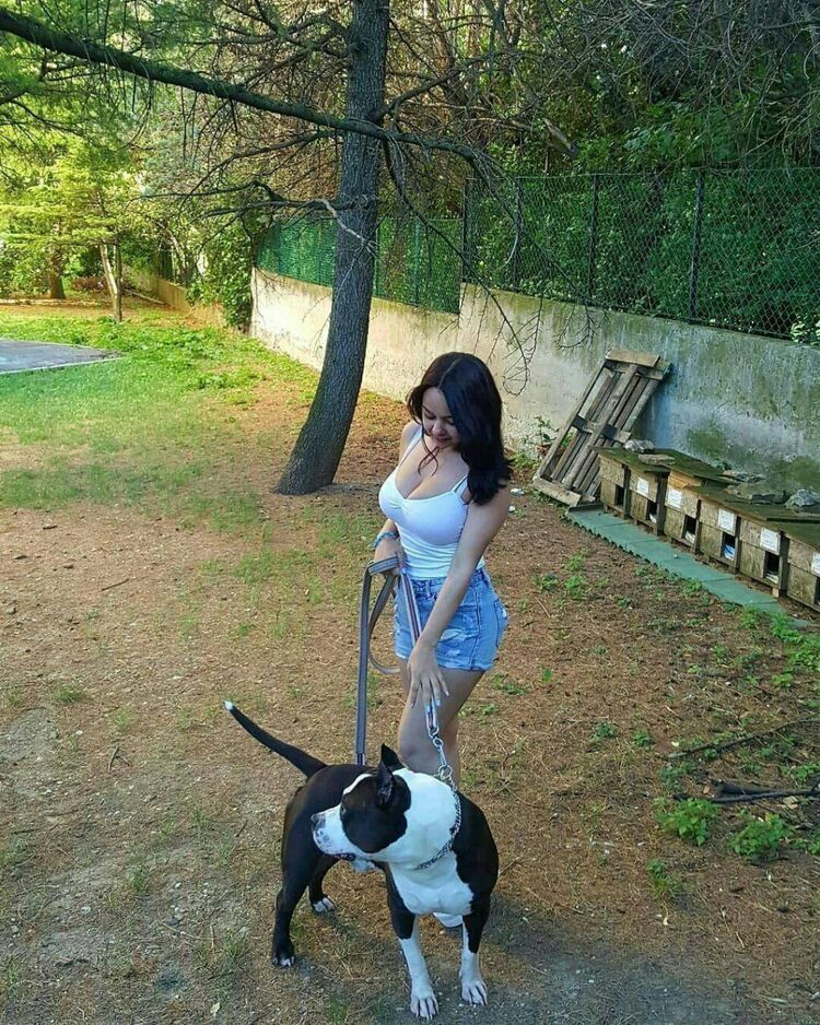 ���������� ������, ���� ������� �����, 20 ���, ������������ ��� ������, ����� � ���������, c�������� ���������, ���������