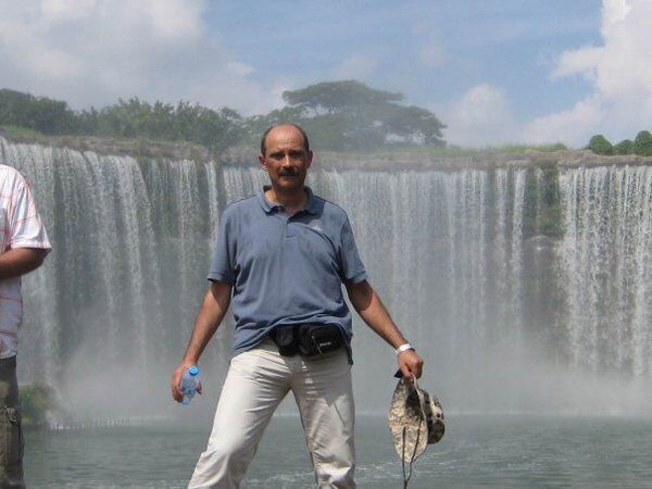  54536933  , 65 ,    -