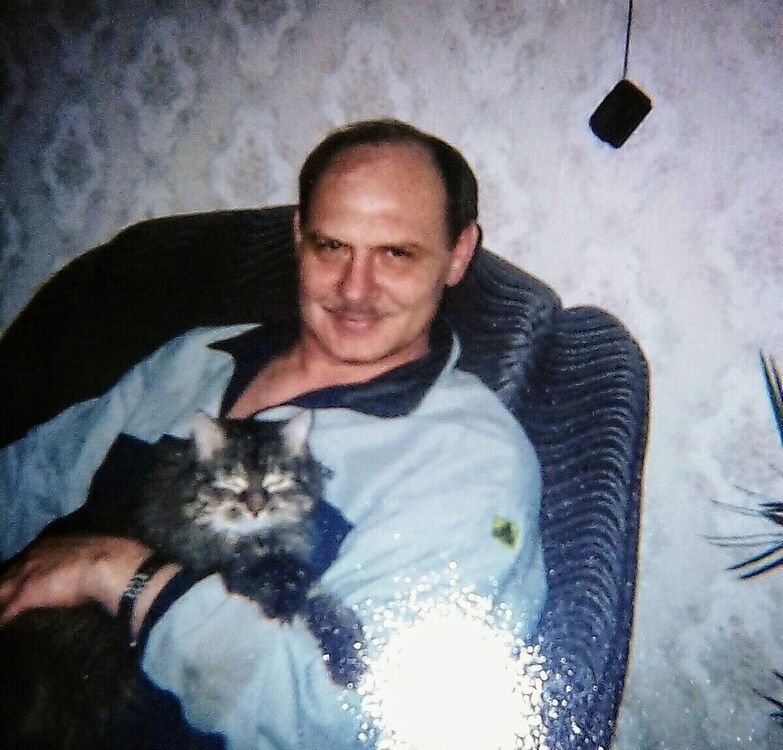 ���� 25602753 ������� ������, 44 ����, ���� ���������� � �����������