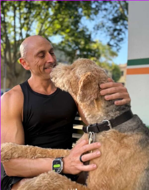 ���� 55375553 ������� �������, 40 ���, ���� ���������� � ������������