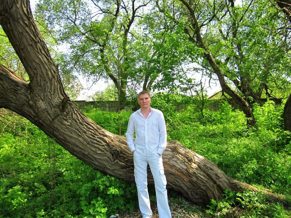 ���� 4198753 ������� Mikle, 38 ���, ���� ���������� � ������