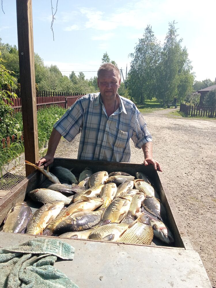  44682873  Alexey, 46 ,    