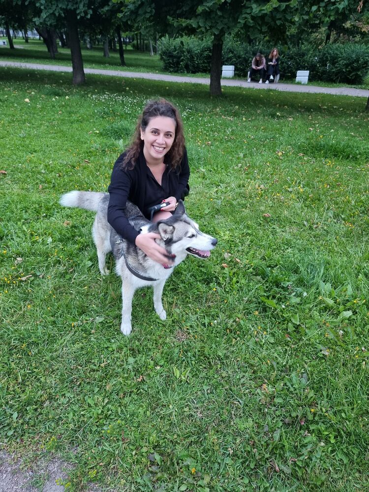 ���������� �����-���������, ���� ������� Enji, 37 ���, ������������ ��� ������, ����� � ���������