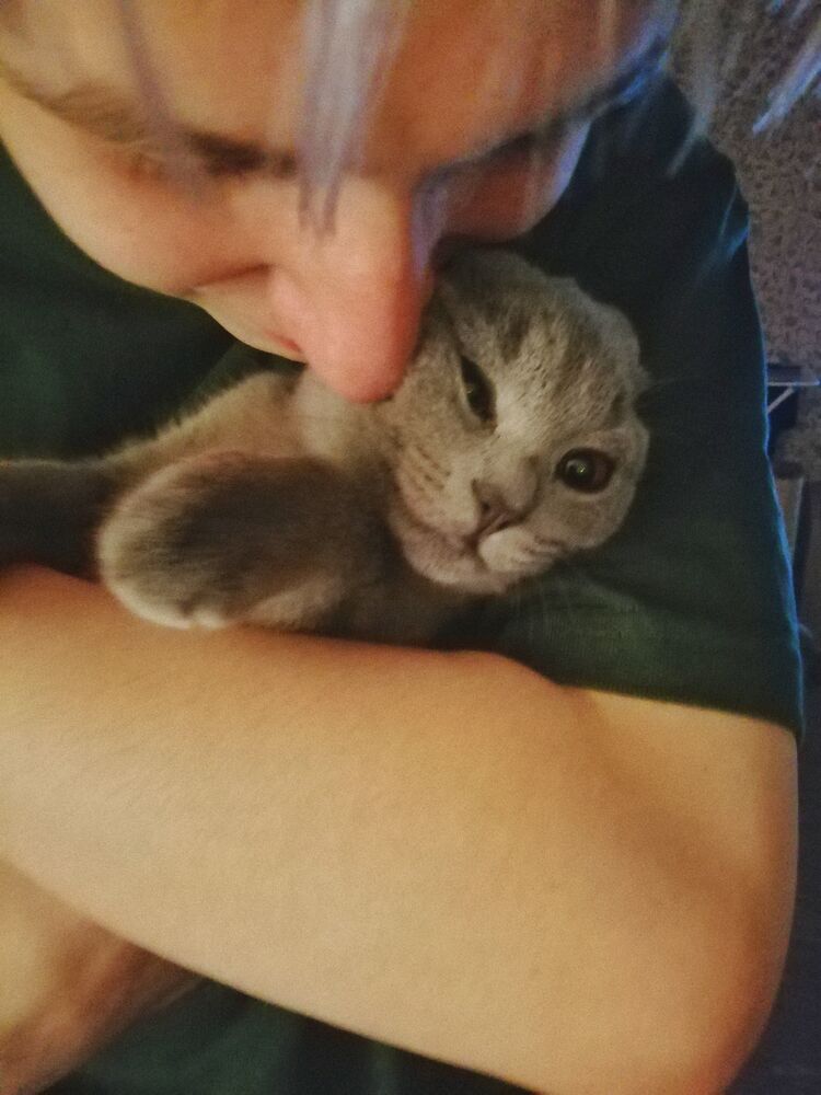 ���������� �������, ���� ����� ����, 22 ����, ������������ ��� ������, ����� � ���������, ���������