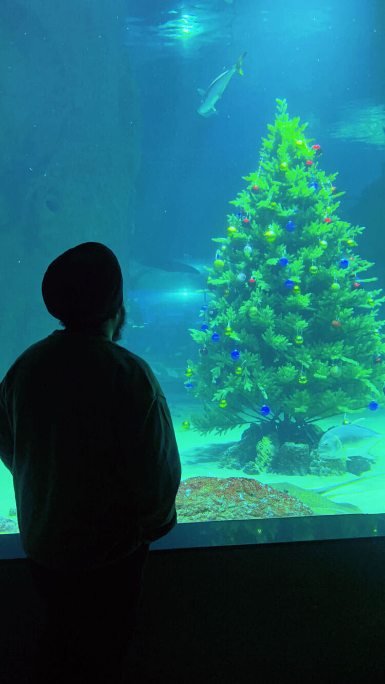 ���� 48755773 ������� ���, 30 ���, ���� ���������� � ������