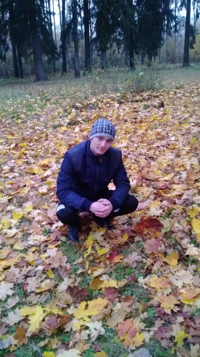  4166023  Vlfdimir, 36 ,     