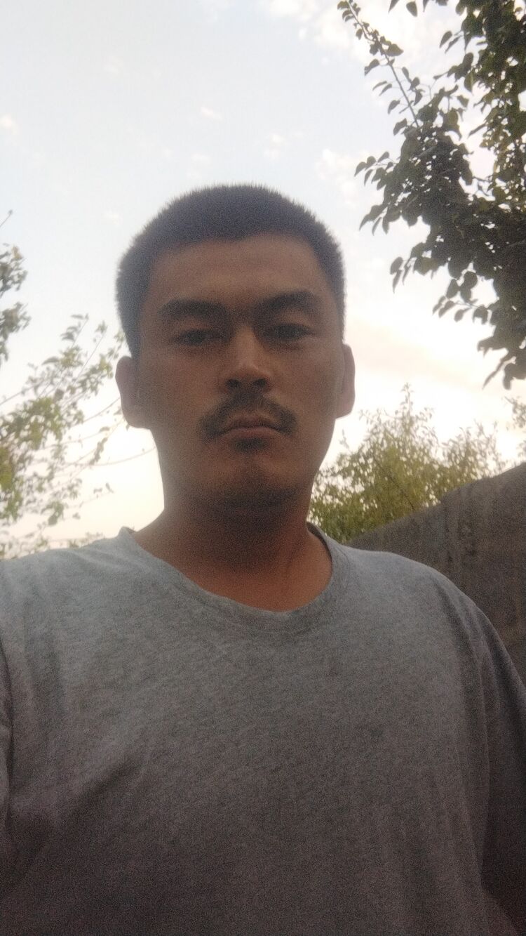  29440483  Sanjar, 29 ,    