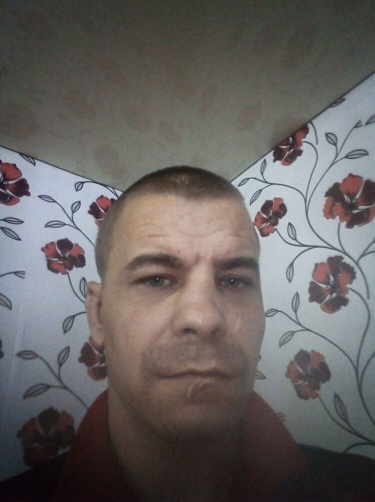  24520523  , 40 ,    