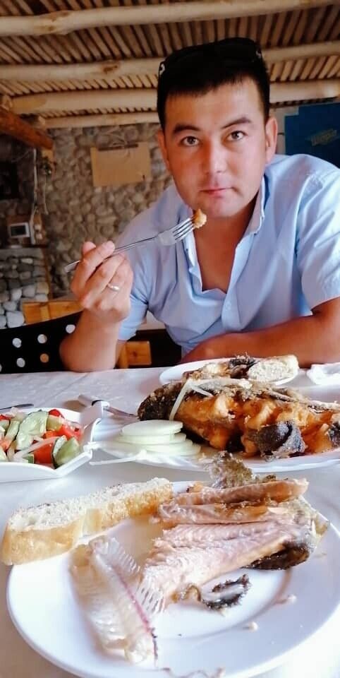 ,   Murza, 40 ,   ,   , c 