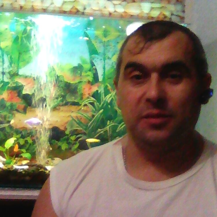 ���������� ���������, ���� ������� ������, 47 ���, ������������ ��� ������, ����� � ���������, c�������� ���������