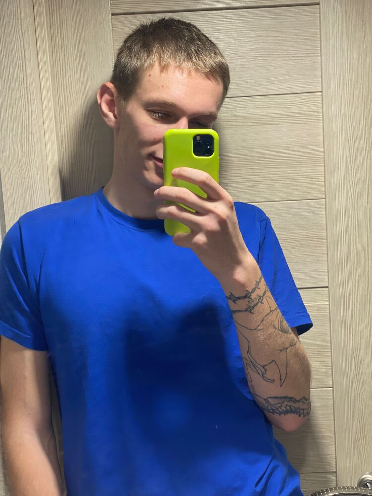  31352653  , 24 ,    -