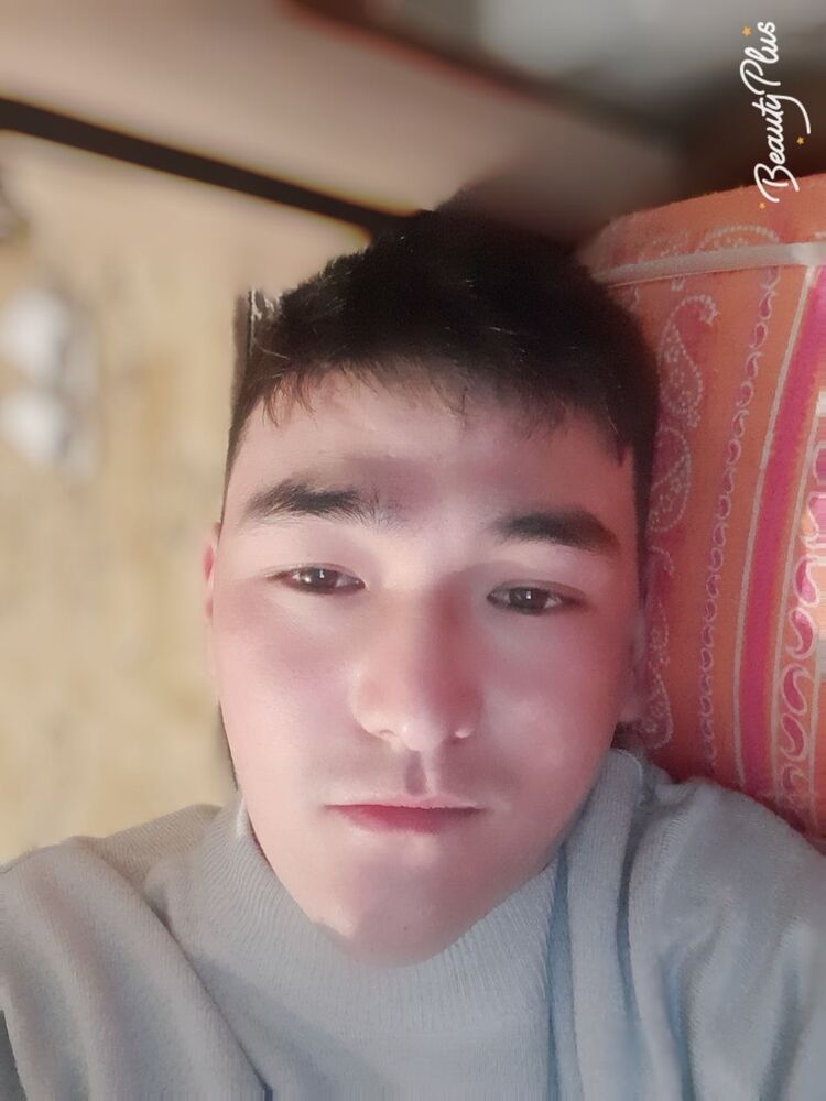  24394863  , 31 ,    -