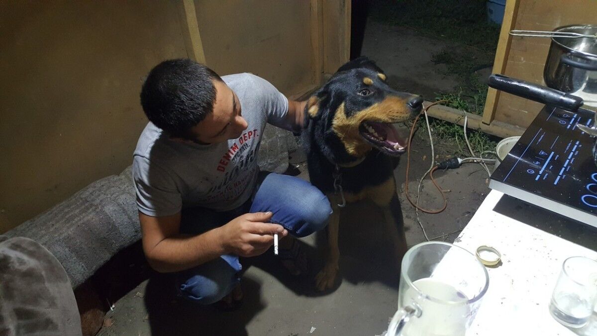 ���������� ������, ���� ������� ����, 36 ���, ������������ ��� ������, ����� � ���������, c�������� ���������