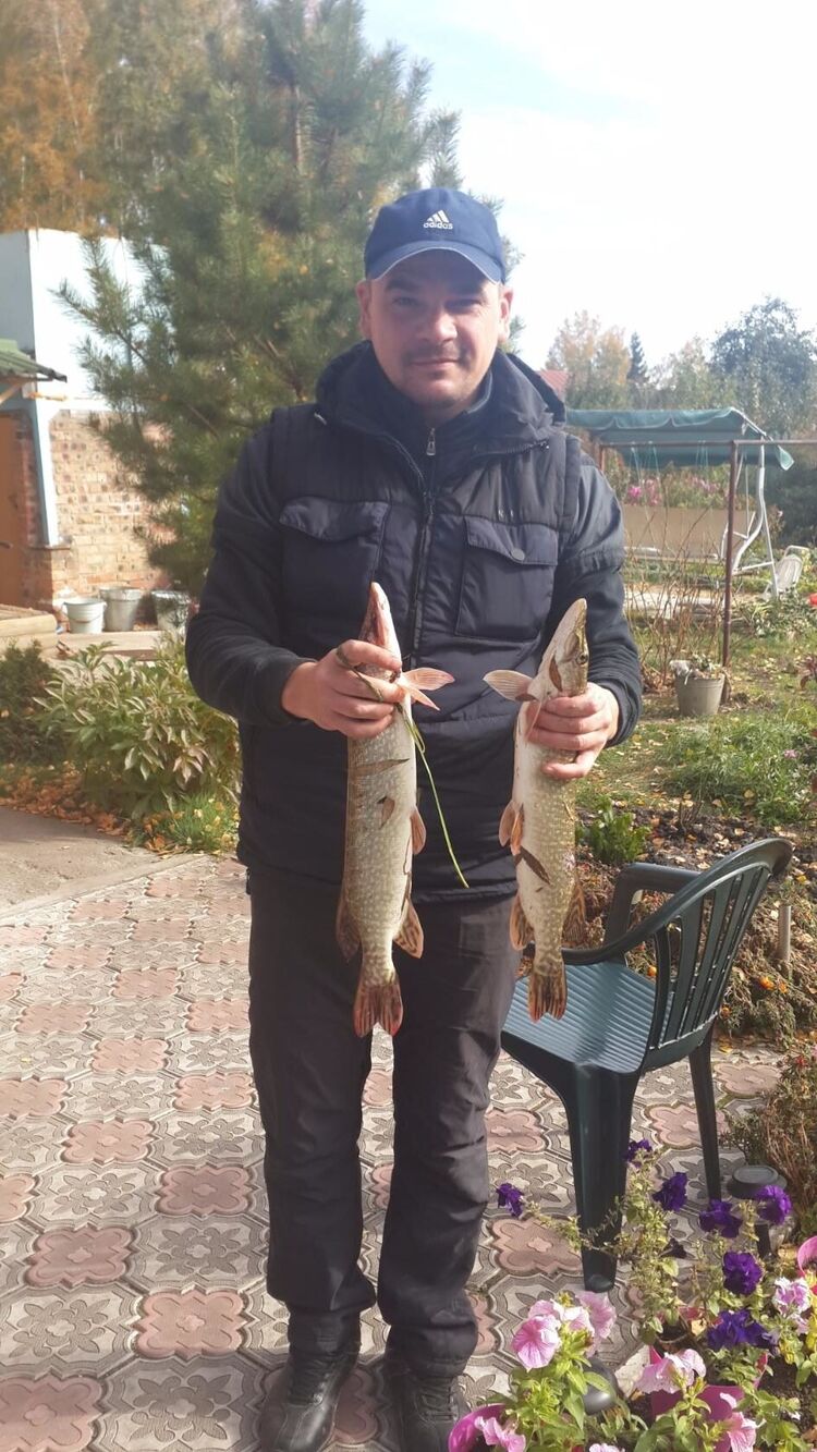 ���������� ����, ���� ������� �������, 46 ���, ������������ ��� ������, ���������