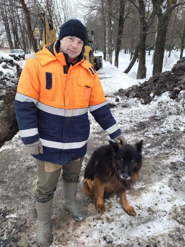  31498163  Alexey, 42 ,    -